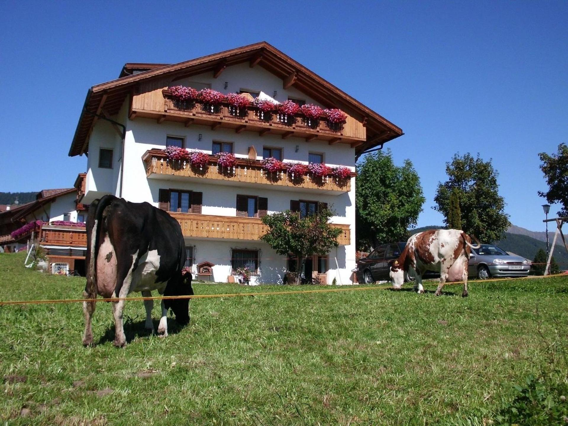 Wohnung In Meransen Exterior photo